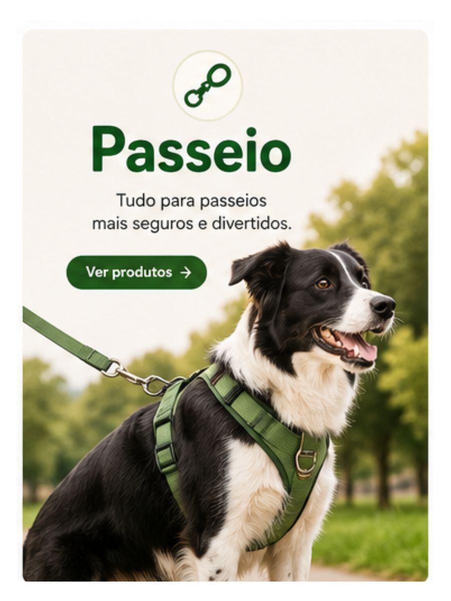 🚗 Passeio