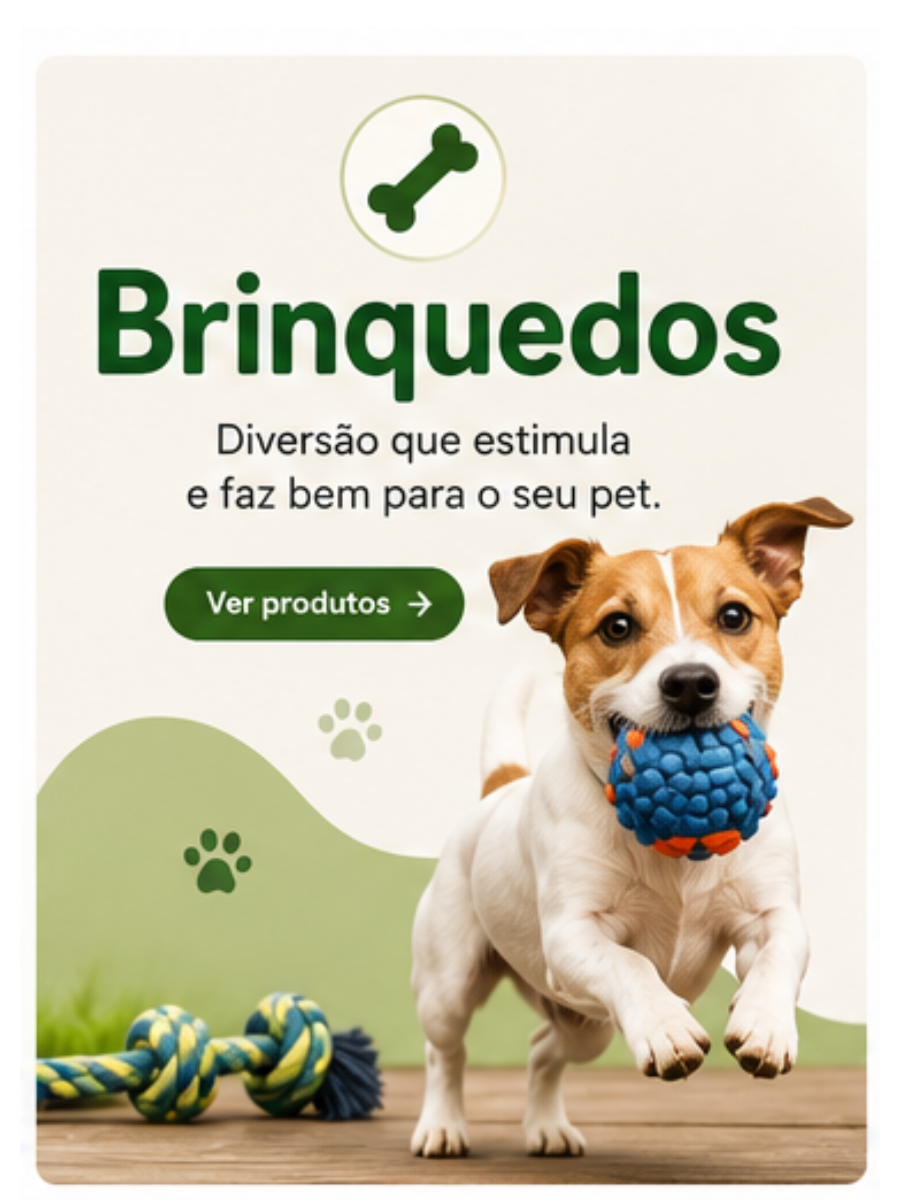 🦴 Brinquedos