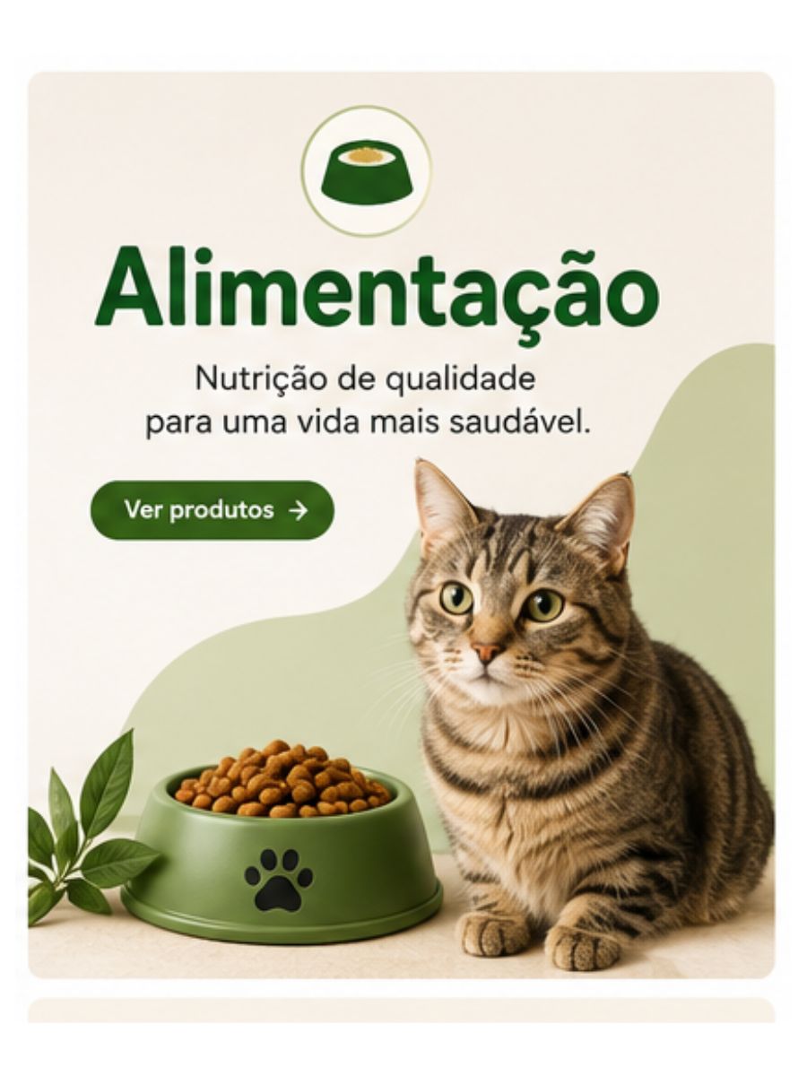 🍽️ Alimentação