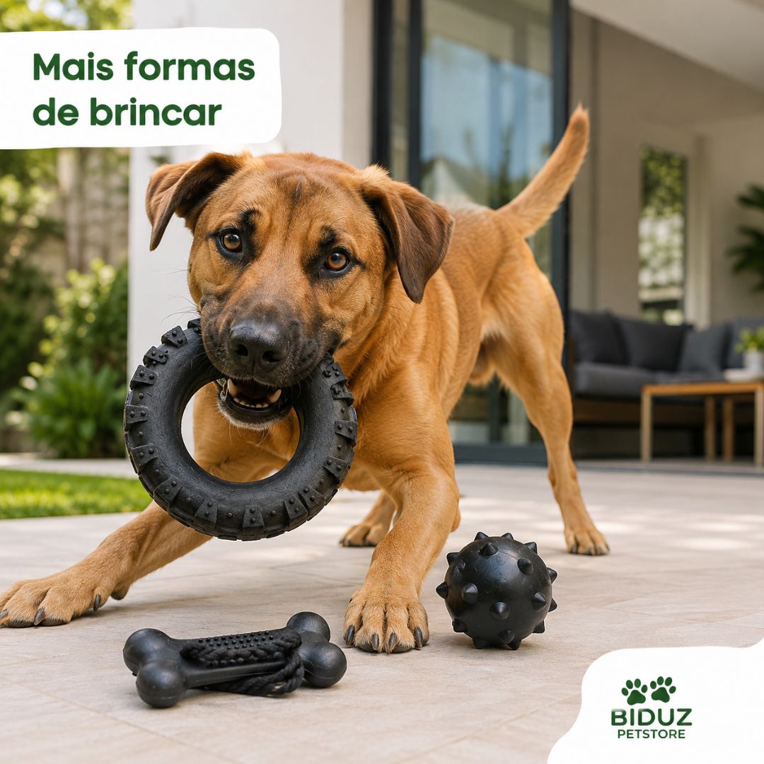 Kit 3 Brinquedos Mordedores para Cães – Pneu, Bola Cravo e Ossinho com Corda