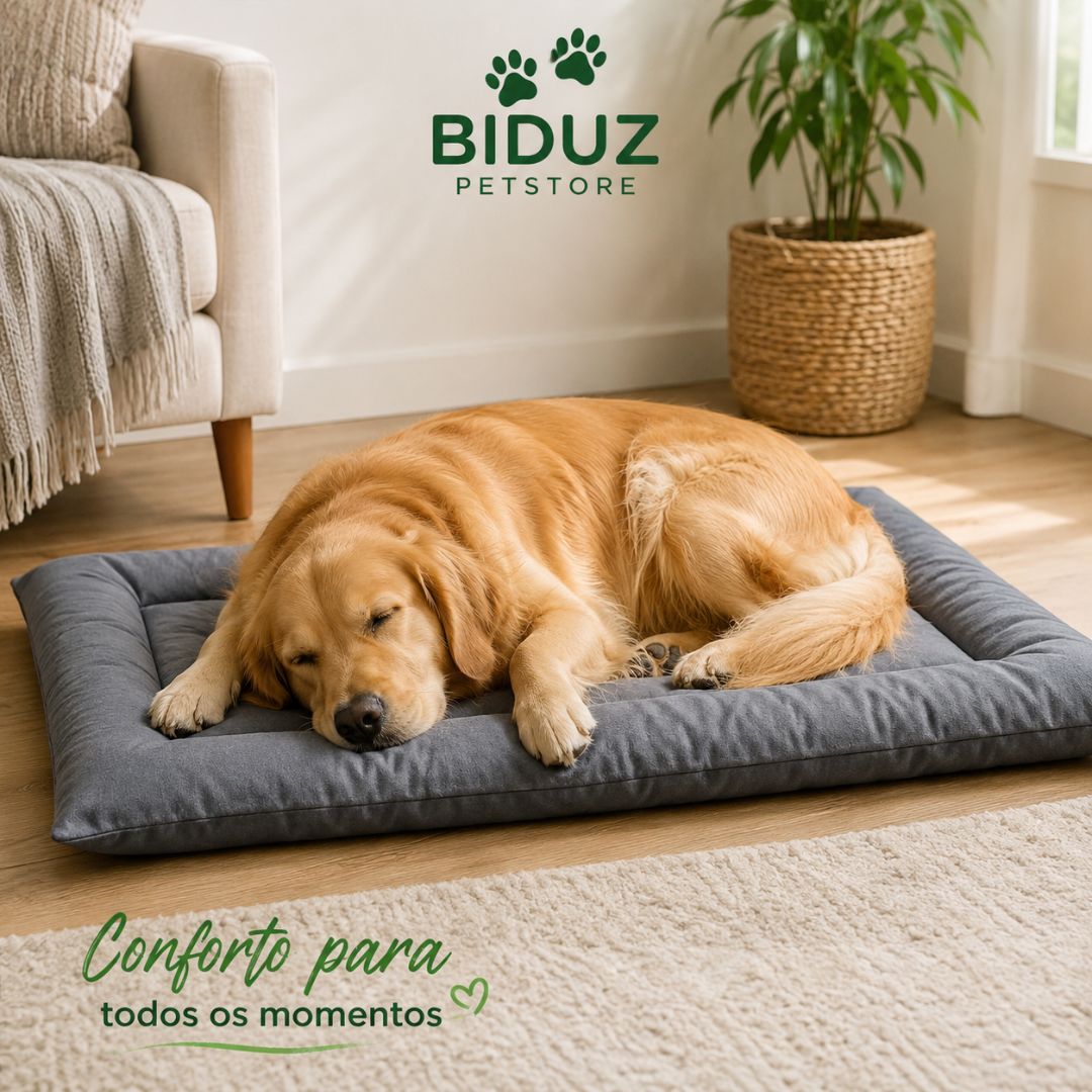 Caminha Colchonete Pet 70x50 cm em Suede para Cães e Gatos