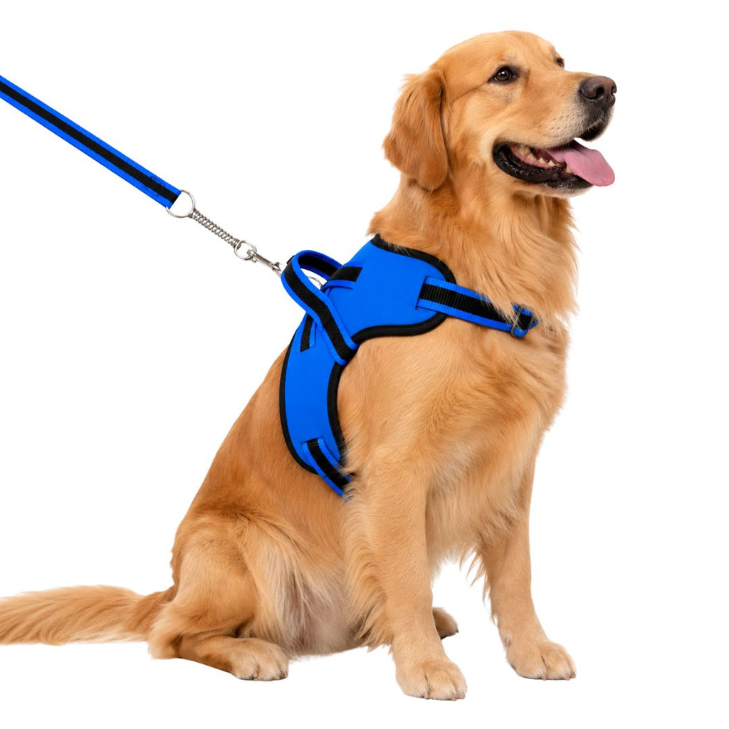 Peitoral Califórnia com Guia de Amortecimento para Cachorros | Neoprene Reforçado | Alça de Controle | Para Cães Pequenos, Médios e Grandes