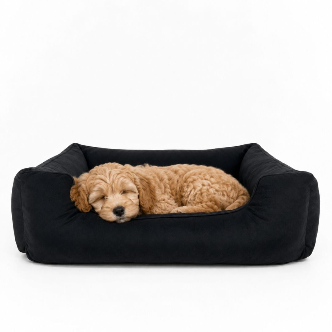 Cama Pet Retangular em Suede com Almofada e Enchimento Removíveis | Caminha Antialérgica para Cães e Gatos