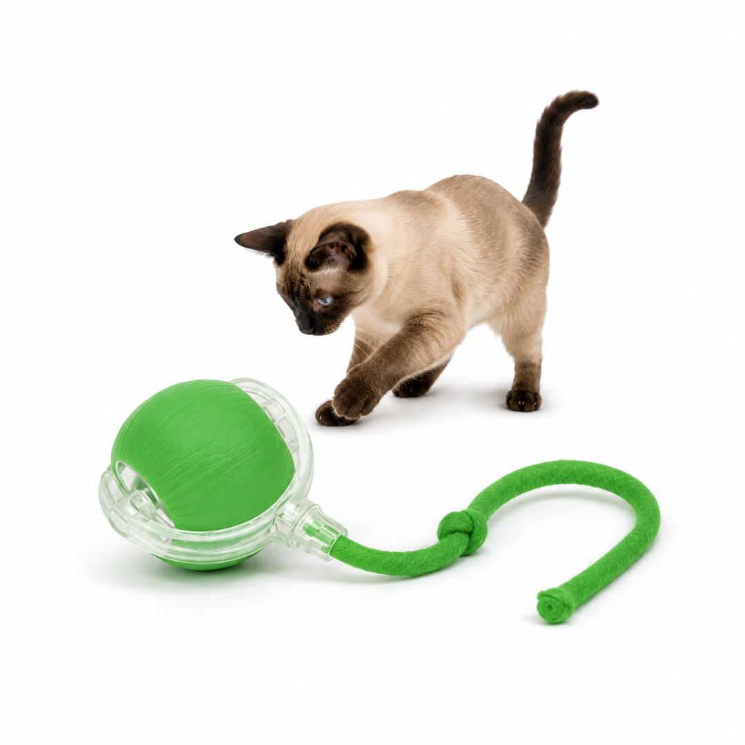 Bola Interativa Inteligente para Gatos com Movimento Automático, Cauda e Luz LED | Brinquedo Recarregável USB