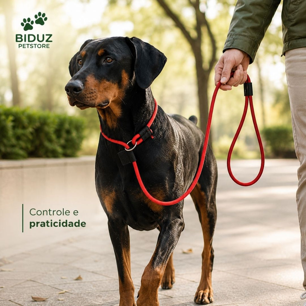 Guia Unificada Ajustável para Cães em Nylon 6 mm – Passeio e Adestramento