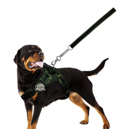 Peitoral Califórnia com Guia de Amortecimento para Cachorros | Neoprene Reforçado | Alça de Controle | Para Cães Pequenos, Médios e Grandes
