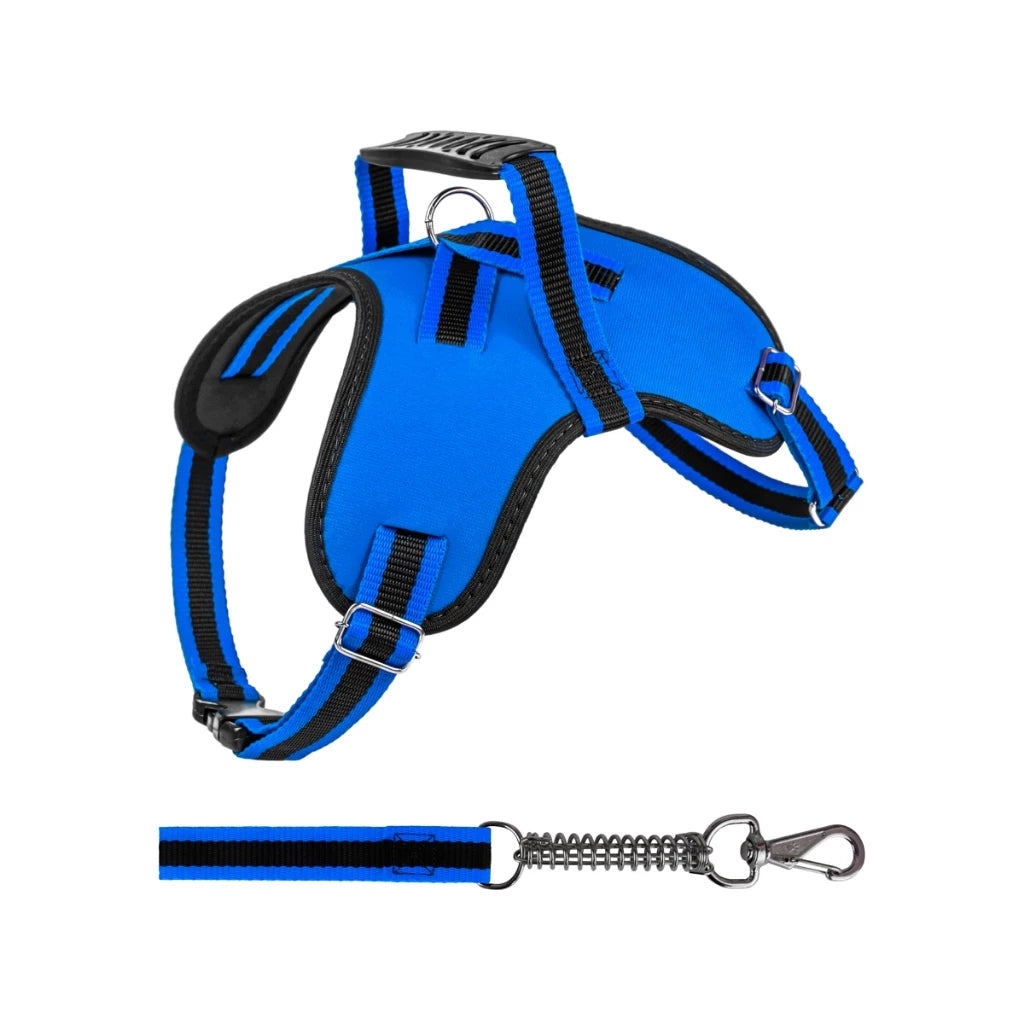 Peitoral Califórnia com Guia de Amortecimento para Cachorros | Neoprene Reforçado | Alça de Controle | Para Cães Pequenos, Médios e Grandes