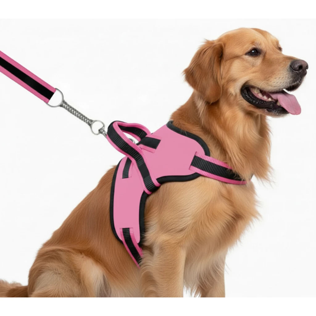 Peitoral Califórnia com Guia de Amortecimento para Cachorros | Neoprene Reforçado | Alça de Controle | Para Cães Pequenos, Médios e Grandes